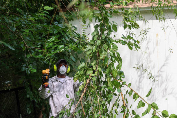 Best Tree Health Inspection  in Wales, WI